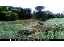 165 ACRES County Road W, Union Center, WI 53962