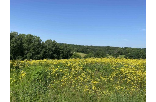 LOT 10 Hemmingford Avenue, Tomah, WI 54660