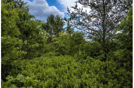 LOT 5 17th Street, Necedah, WI 54646