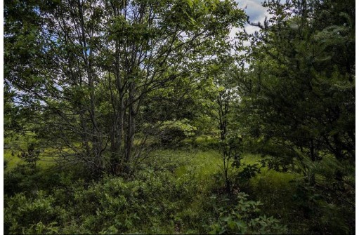 LOT 5 17th Street, Necedah, WI 54646