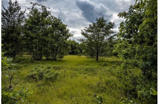 LOT 5 17th Street, Necedah, WI 54646