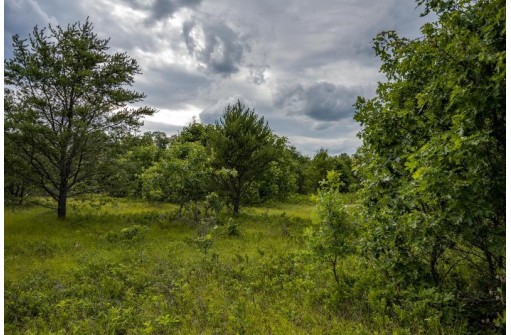 LOT 5 17th Street, Necedah, WI 54646