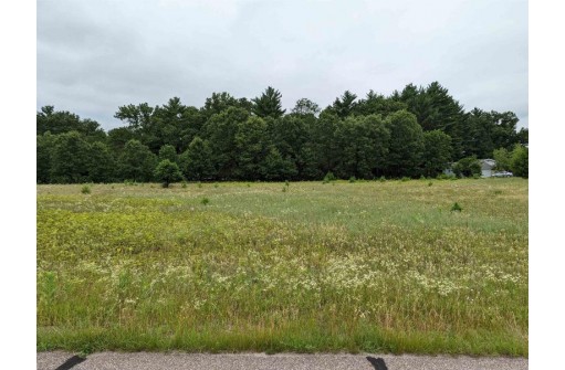 LOT 2 Gale Ct, Wisconsin Dells, WI 53965
