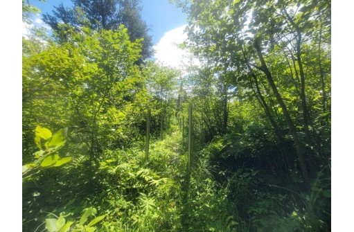 LOT 2 Highway 21, Friendship, WI 53934