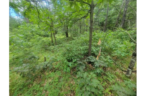 LOT 2 Highway 21, Friendship, WI 53934