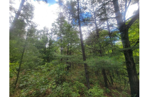 LOT 2 Highway 21, Friendship, WI 53934