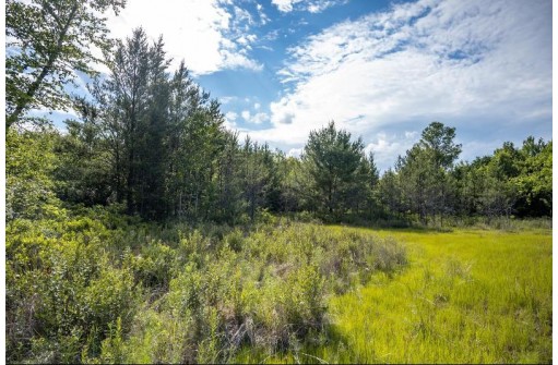 LOT 6 Highway 80, Necedah, WI 54646