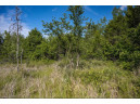 LOT 6 Highway 80, Necedah, WI 54646