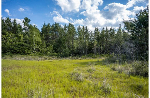 LOT 6 Highway 80, Necedah, WI 54646