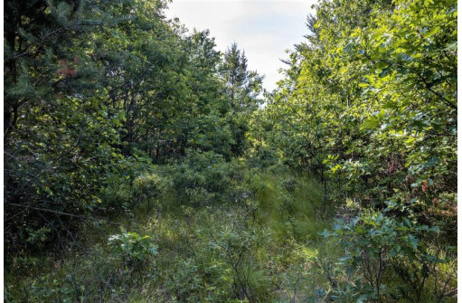 LOT 6 Highway 80, Necedah, WI 54646