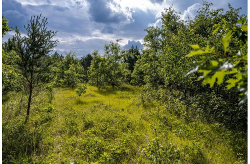 LOT 6 Highway 80, Necedah, WI 54646