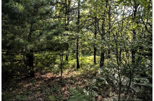 LOT 6 Highway 80, Necedah, WI 54646