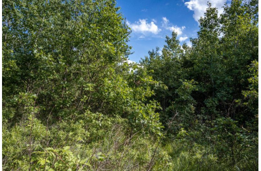 LOT 6 Highway 80, Necedah, WI 54646