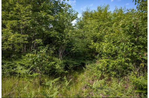 LOT 6 Highway 80, Necedah, WI 54646