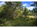 LOT 6 Highway 80, Necedah, WI 54646