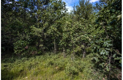 LOT 8 18th Street, Necedah, WI 54646