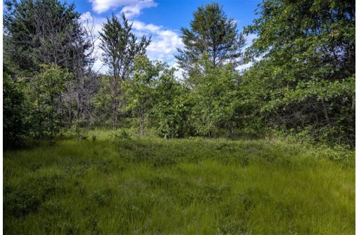 LOT 8 18th Street, Necedah, WI 54646