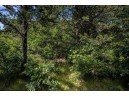 LOT 8 18th Street, Necedah, WI 54646