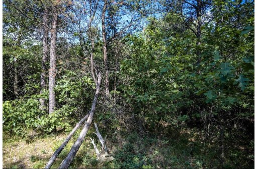 LOT 8 18th Street, Necedah, WI 54646