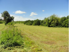 LOT 2 County Road S