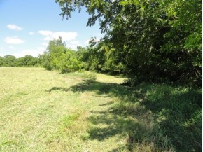 LOT 2 County Road S