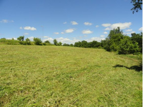 LOT 2 County Road S