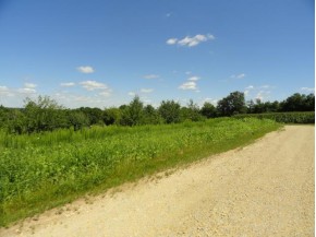 LOT 2 County Road S