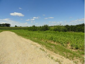 LOT 3 County Road S