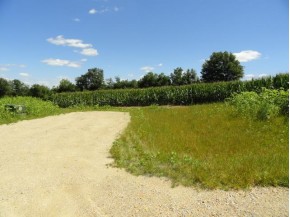 LOT 3 County Road S