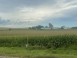 40 ACRES Highway 60 Arlington, WI 53555