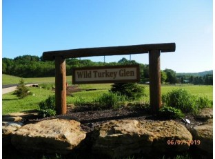 L8 Wild Turkey Lane Richland Center, WI 53581