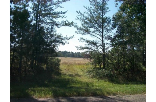 38 ACRES 18th St, Necedah, WI 54646