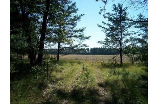 38 ACRES 18th St, Necedah, WI 54646