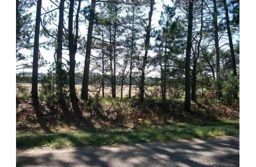 38 ACRES 18th St, Necedah, WI 54646