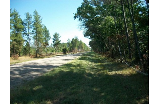 38 ACRES 18th St, Necedah, WI 54646