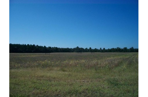 38 ACRES 18th St, Necedah, WI 54646