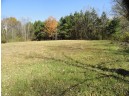 95 ACRES Highway 13, Wisconsin Dells, WI 53965