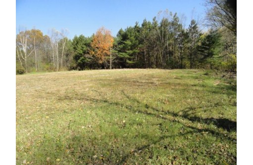 95 ACRES Highway 13, Wisconsin Dells, WI 53965