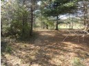 95 ACRES Highway 13, Wisconsin Dells, WI 53965