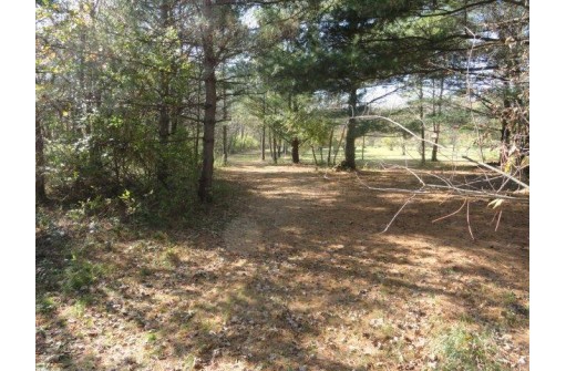 95 ACRES Highway 13, Wisconsin Dells, WI 53965