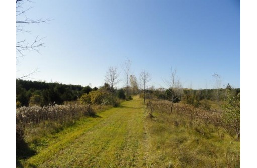 95 ACRES Highway 13, Wisconsin Dells, WI 53965