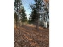 95 ACRES Highway 13, Wisconsin Dells, WI 53965