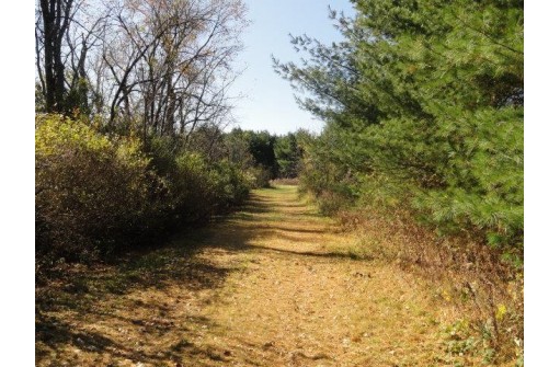 95 ACRES Highway 13, Wisconsin Dells, WI 53965