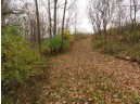 LOT 27 Forest Hill Lane, Boscobel, WI 53805