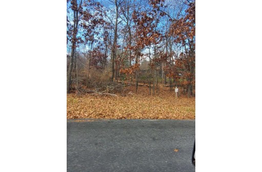 LOT 20 Christmas Mountain Rd, Wisconsin Dells, WI 53965