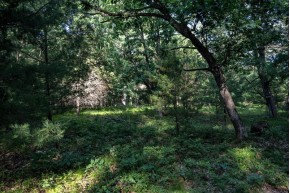 4 ACRES 24th Avenue