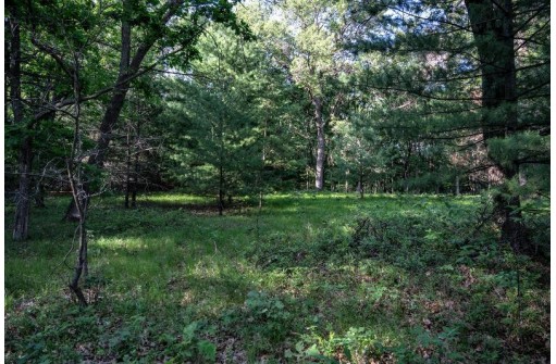 4 ACRES 24th Avenue, Lyndon Station, WI 53944