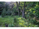 4 ACRES 24th Avenue, Lyndon Station, WI 53944