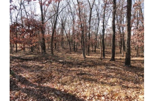 LOT 4 High Ridge Road, Mauston, WI 53948