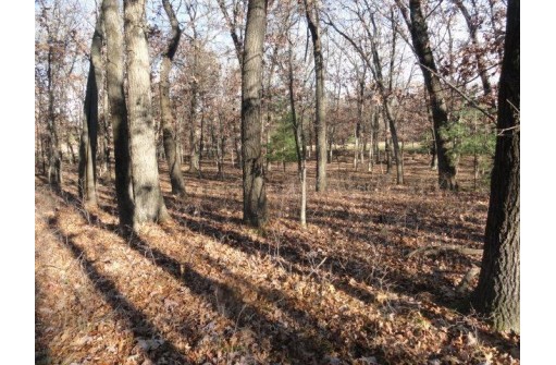 LOT 4 High Ridge Road, Mauston, WI 53948